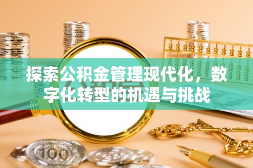 湛江探索公积金管理现代化，数字化转型的机遇与挑战