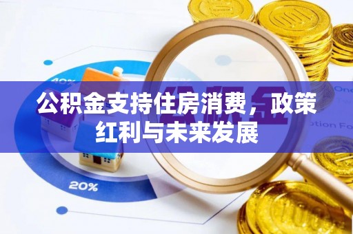 湛江公积金支持住房消费，政策红利与未来发展