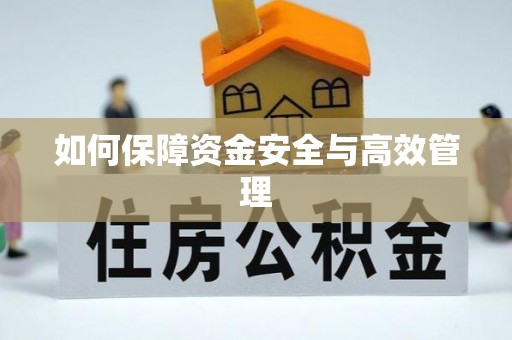 湛江如何保障资金安全与高效管理