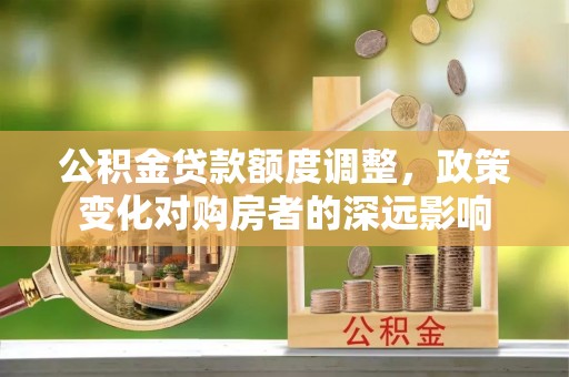 湛江公积金贷款额度调整，政策变化对购房者的深远影响