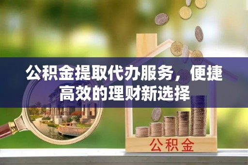 湛江公积金提取代办服务，便捷高效的理财新选择