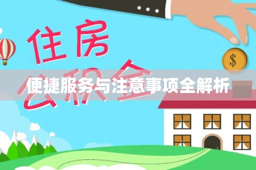 湛江便捷服务与注意事项全解析
