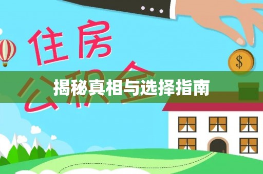 湛江揭秘真相与选择指南