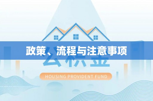 湛江政策、流程与注意事项
