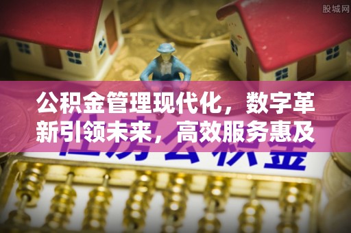 湛江公积金管理现代化，数字革新引领未来，高效服务惠及民生