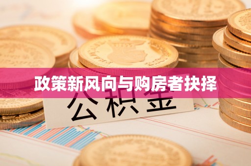 湛江政策新风向与购房者抉择