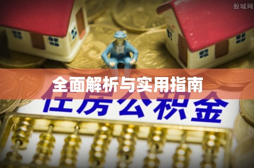 湛江全面解析与实用指南