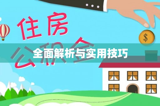 湛江全面解析与实用技巧