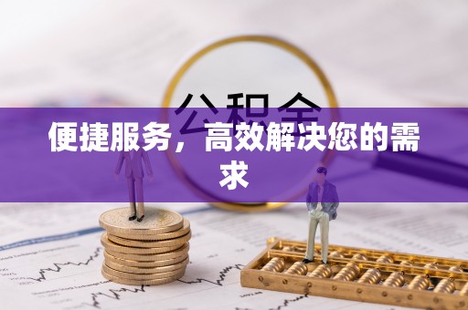 湛江便捷服务，高效解决您的需求