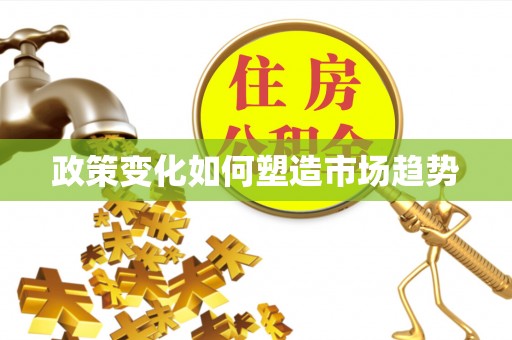 湛江政策变化如何塑造市场趋势