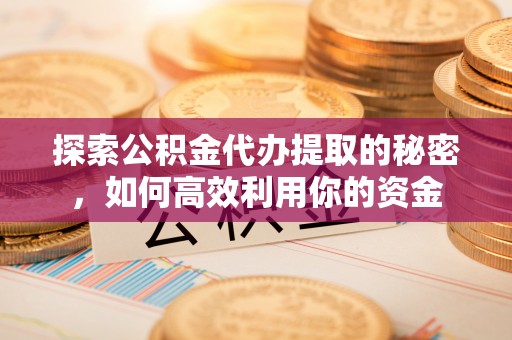 湛江探索公积金代办提取的秘密，如何高效利用你的资金