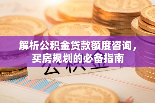 湛江解析公积金贷款额度咨询，买房规划的必备指南