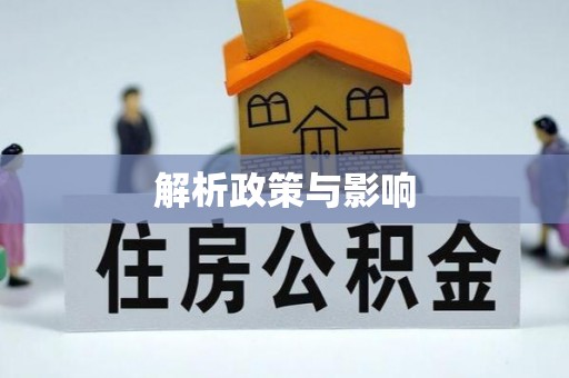 湛江解析政策与影响