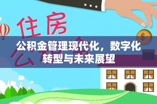 湛江公积金管理现代化，数字化转型与未来展望
