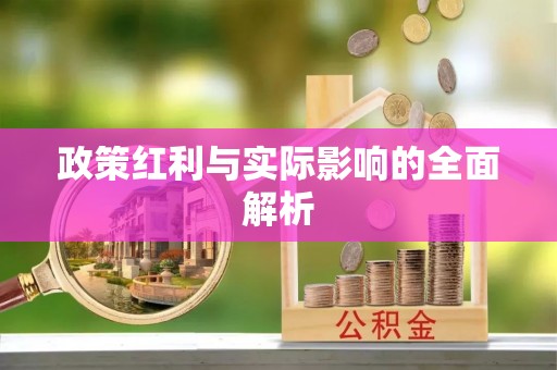 湛江政策红利与实际影响的全面解析