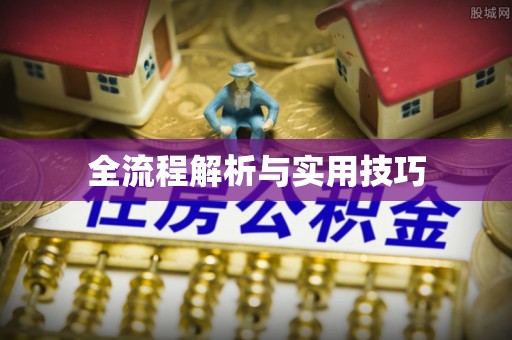 湛江全流程解析与实用技巧