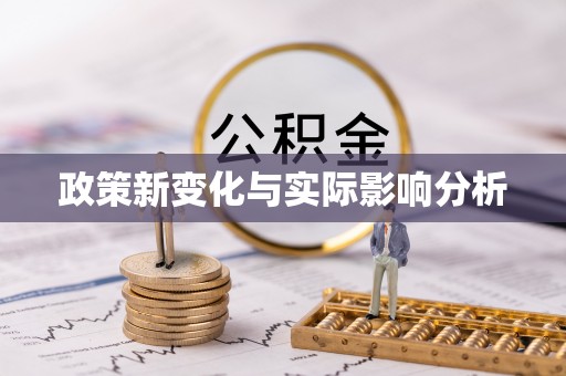 湛江政策新变化与实际影响分析