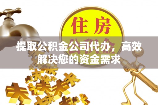 湛江提取公积金公司代办，高效解决您的资金需求