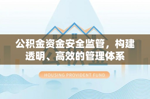 湛江公积金资金安全监管，构建透明、高效的管理体系