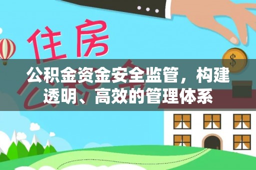 湛江公积金资金安全监管，构建透明、高效的管理体系