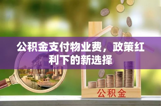 湛江公积金支付物业费，政策红利下的新选择