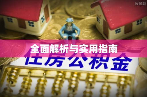 湛江全面解析与实用指南
