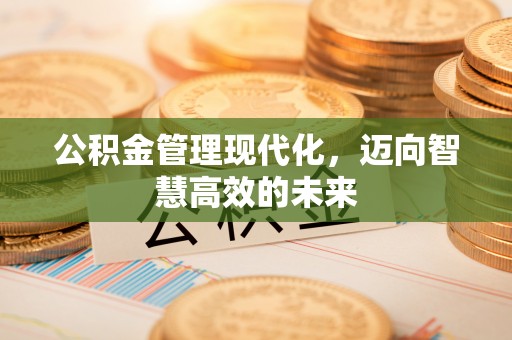 湛江公积金管理现代化，迈向智慧高效的未来