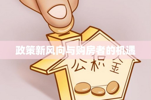 湛江政策新风向与购房者的机遇