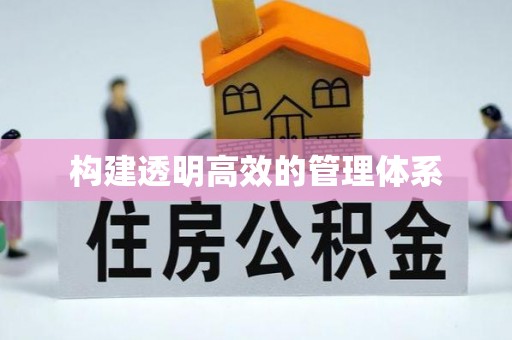 湛江构建透明高效的管理体系