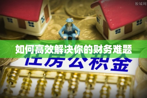 湛江如何高效解决你的财务难题