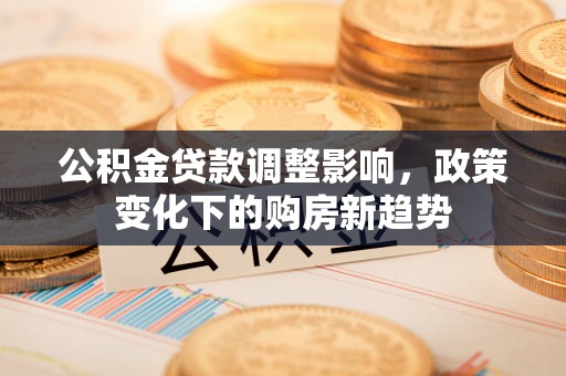 湛江公积金贷款调整影响，政策变化下的购房新趋势