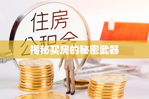 湛江揭秘买房的秘密武器