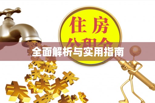 湛江全面解析与实用指南
