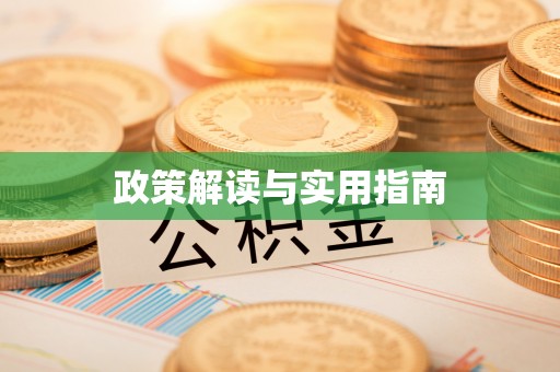 湛江政策解读与实用指南