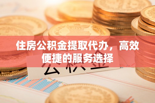 湛江住房公积金提取代办，高效便捷的服务选择