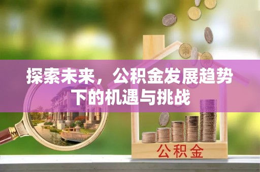 湛江探索未来，公积金发展趋势下的机遇与挑战