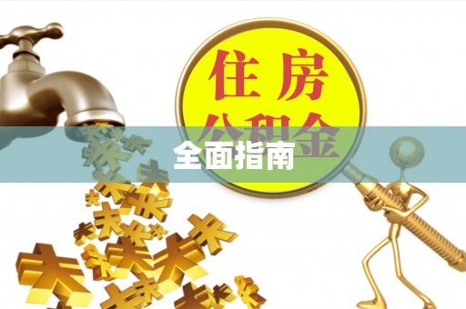 湛江全面指南