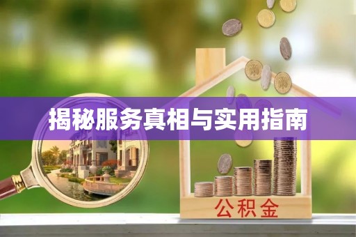 湛江揭秘服务真相与实用指南