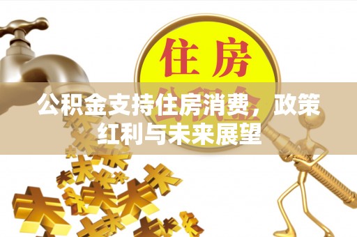 湛江公积金支持住房消费，政策红利与未来展望