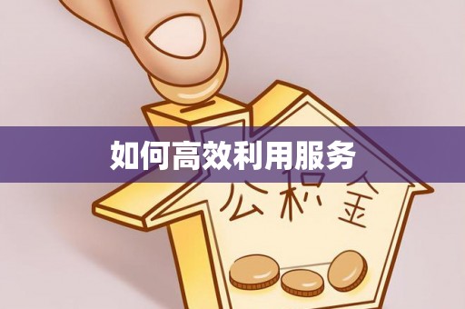 湛江如何高效利用服务
