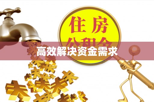 湛江高效解决资金需求