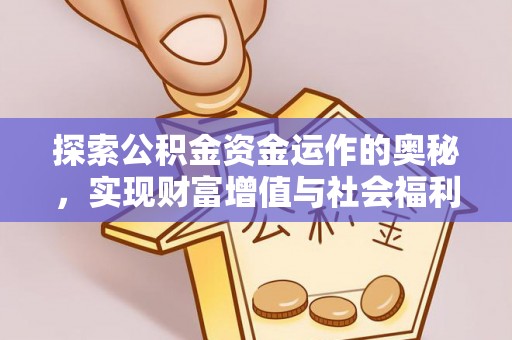 湛江探索公积金资金运作的奥秘，实现财富增值与社会福利双赢