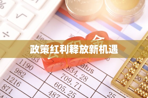 湛江政策红利释放新机遇