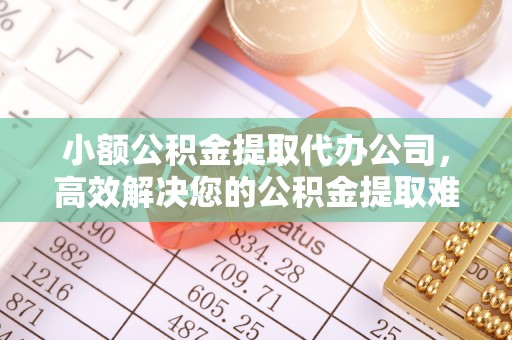 湛江小额公积金提取代办公司，高效解决您的公积金提取难题