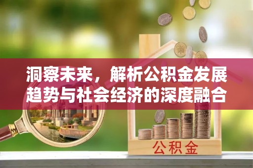 湛江洞察未来，解析公积金发展趋势与社会经济的深度融合