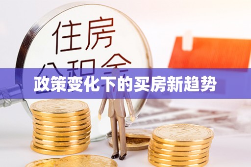 湛江政策变化下的买房新趋势