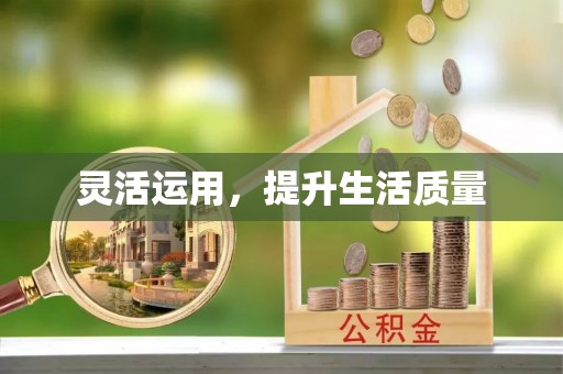 湛江灵活运用，提升生活质量