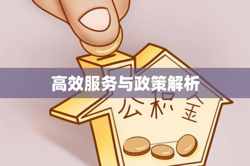 湛江高效服务与政策解析