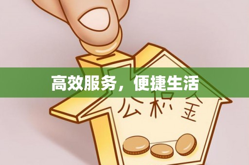 湛江高效服务，便捷生活