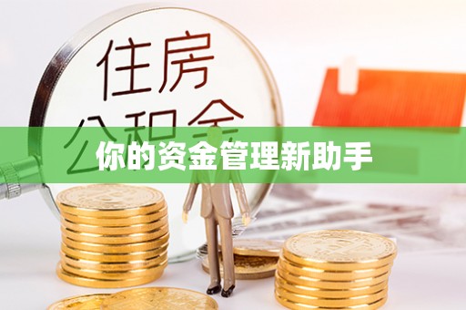 湛江你的资金管理新助手